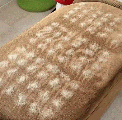 Navozilo® Reusable Pet Hair Remover Mitt