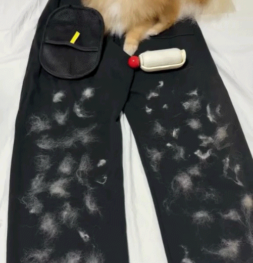 Navozilo® Reusable Pet Hair Remover Mitt